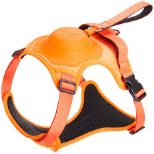 ARNES CON CORREA RETRACTIL PARA PERROS
