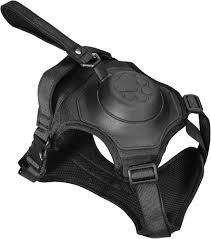 ARNES CON CORREA RETRACTIL PARA PERROS