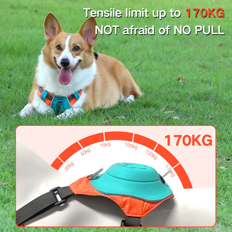 ARNES CON CORREA RETRACTIL PARA PERROS